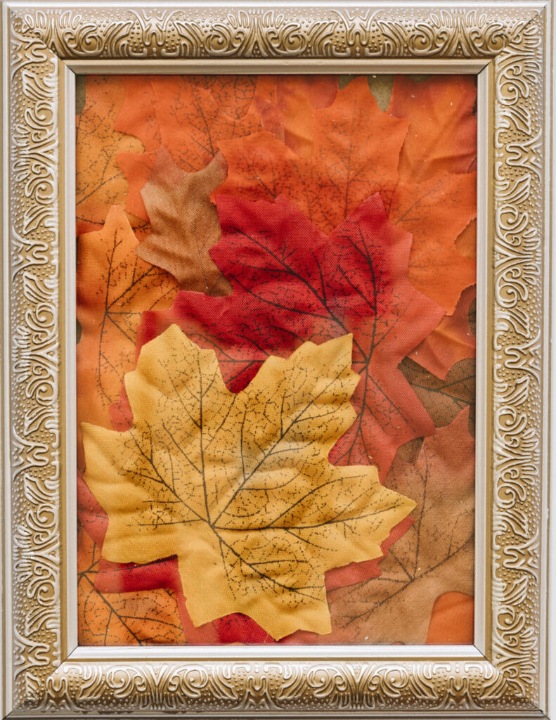 vintage frame with autumn leave inside
